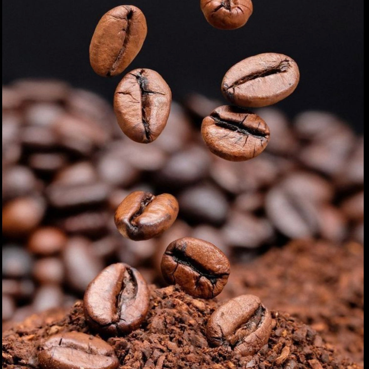 Le Café, Partout avec Vous
